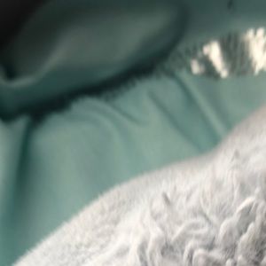 Meet your Posher, Stevie